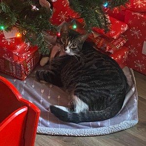 Meet your Posher, Daryl